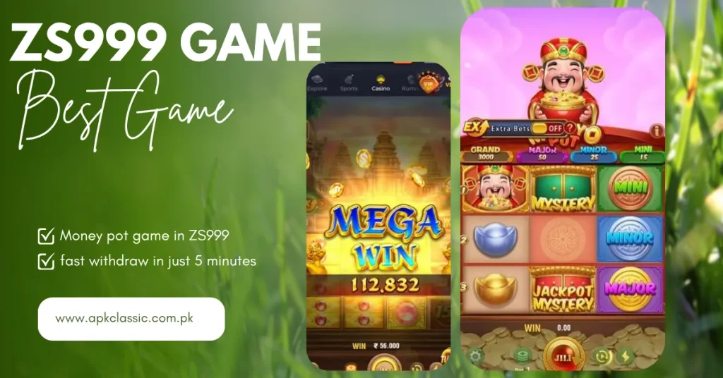 ZS999 Real EArning app