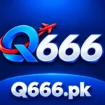q666