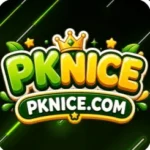 pk nice game